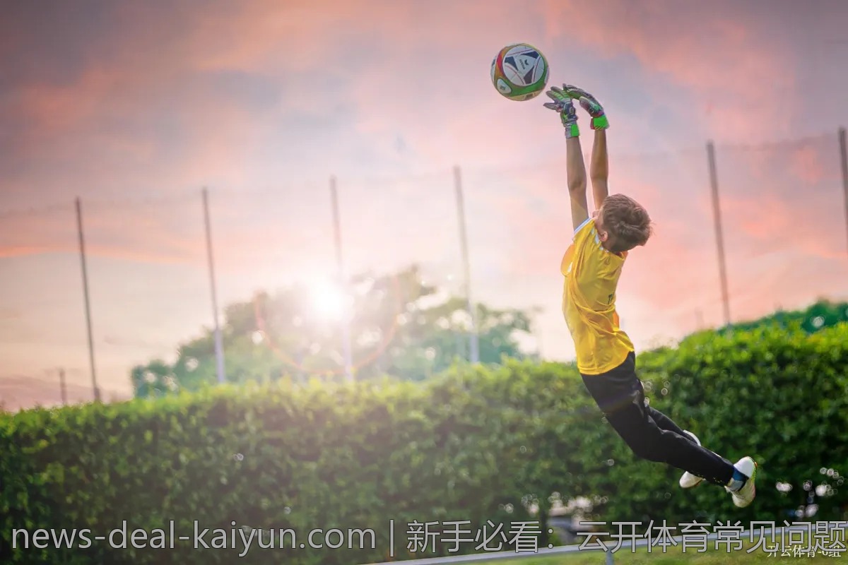 新手必看：云开体育常见问题与解答大全