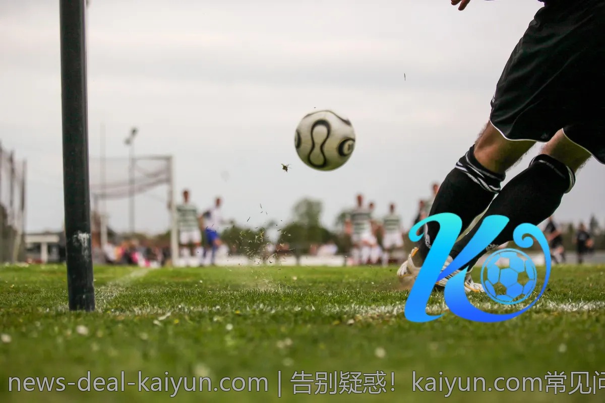 告别疑惑!kaiyun.com常见问题解答